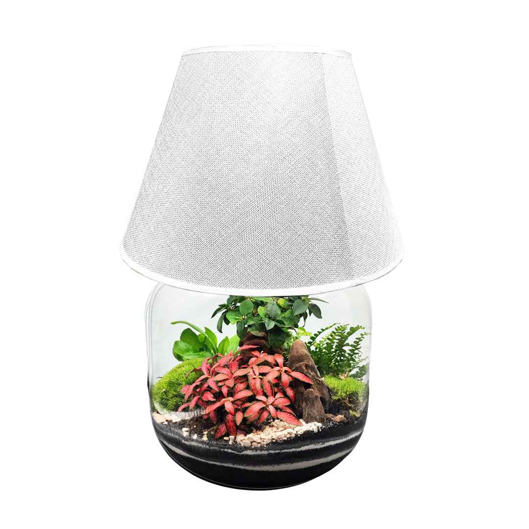 Terrarium Lamparium Martina - Nootje store