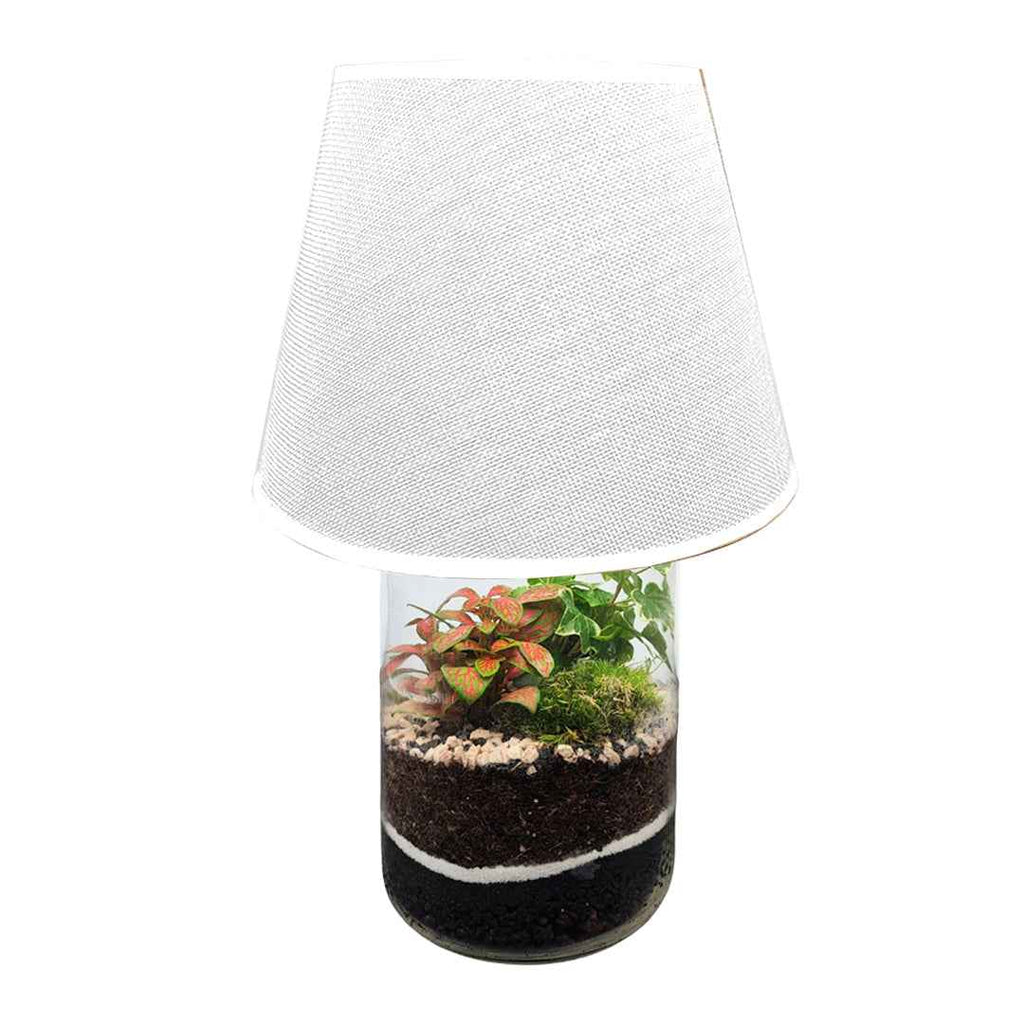 Terrarium Lamparium Aurora - Nootje store