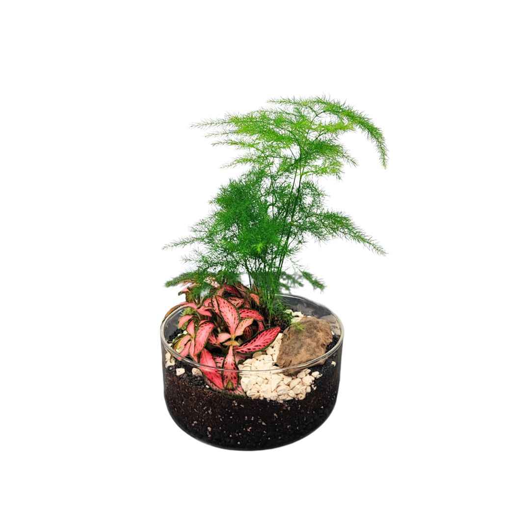 Terrarium Téa con piante verdi