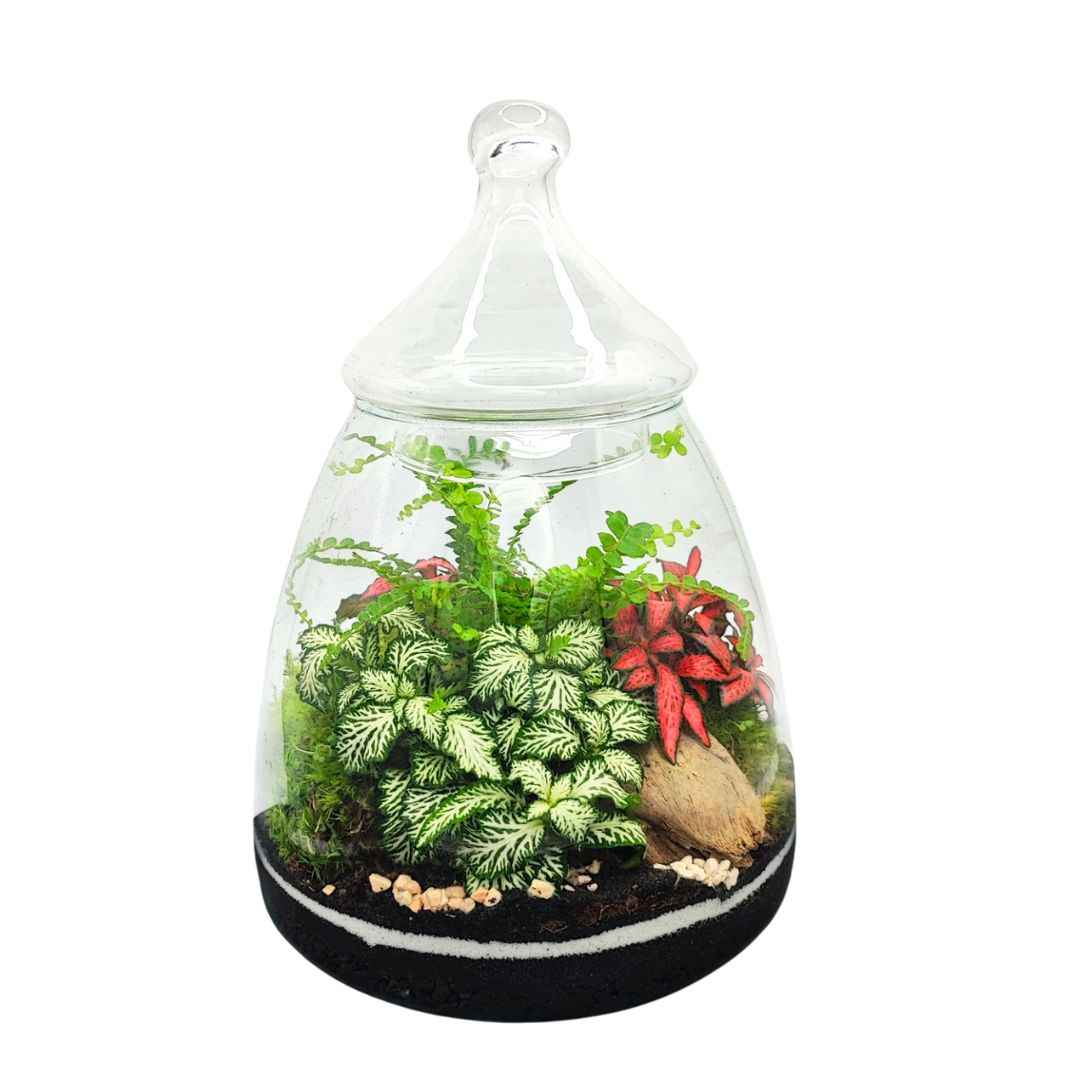 Terrarium Eternal Bloom 046 - Nootje store