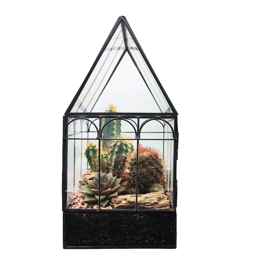 Terrarium Mini Serra Romantica con Piante Grasse 063G