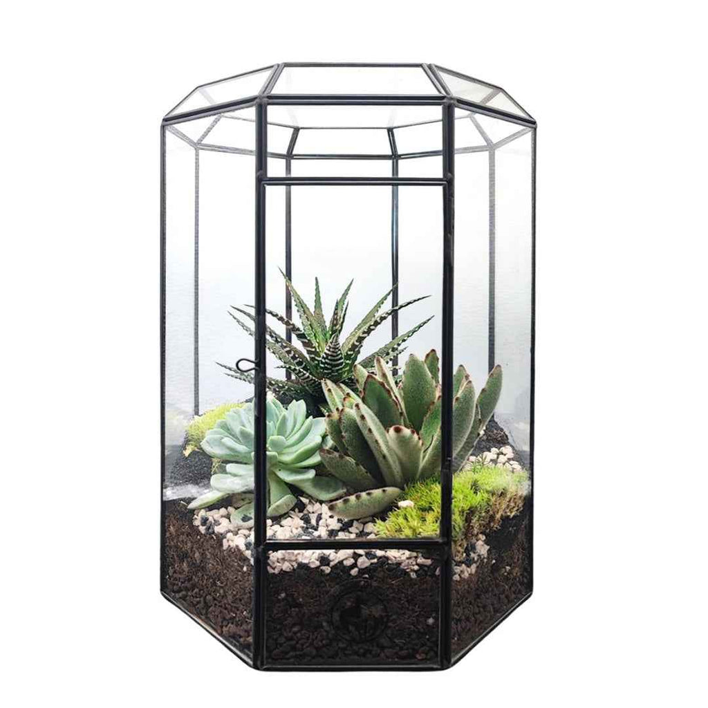 Terrarium Piante Grasse Serra Ottagonale Romantica 069G - Nootje store