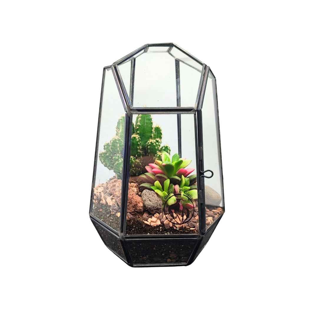Terrarium geometrico Emma con piante grasse