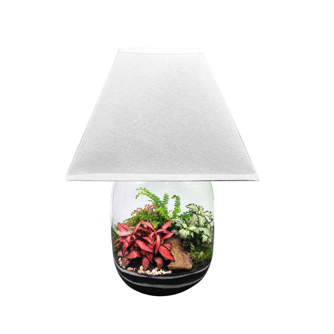 Terrarium Lamparium Oasi Lux elegant - Nootje store