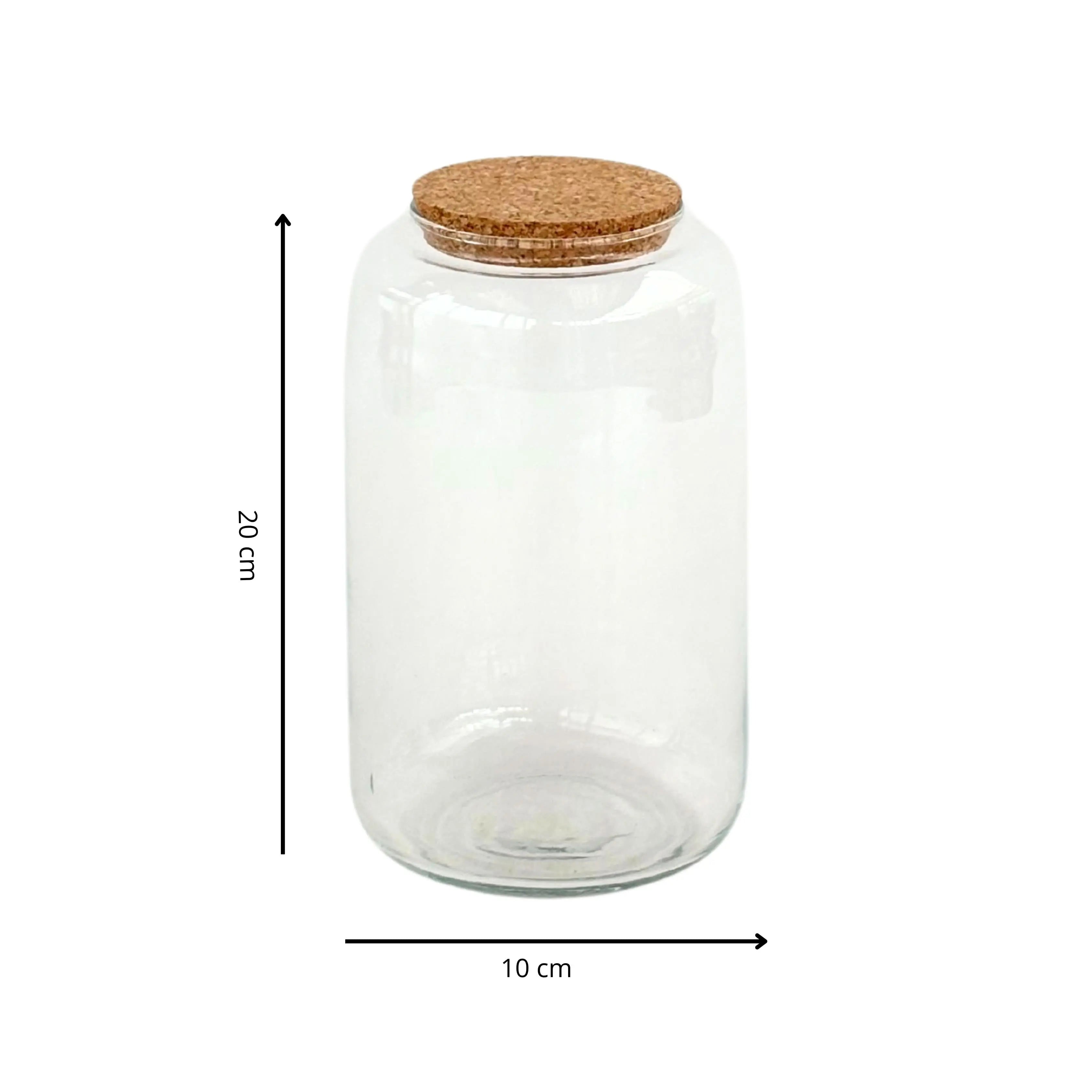 Contenitore Piccolo in Vetro Soffiato per Terrarium - Nootje store