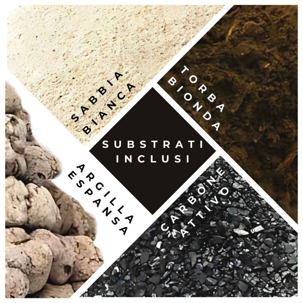 Kit Fai Da Te Terrarium Completo - Crea il Tuo Mini Giardino Elegante - Nootje store