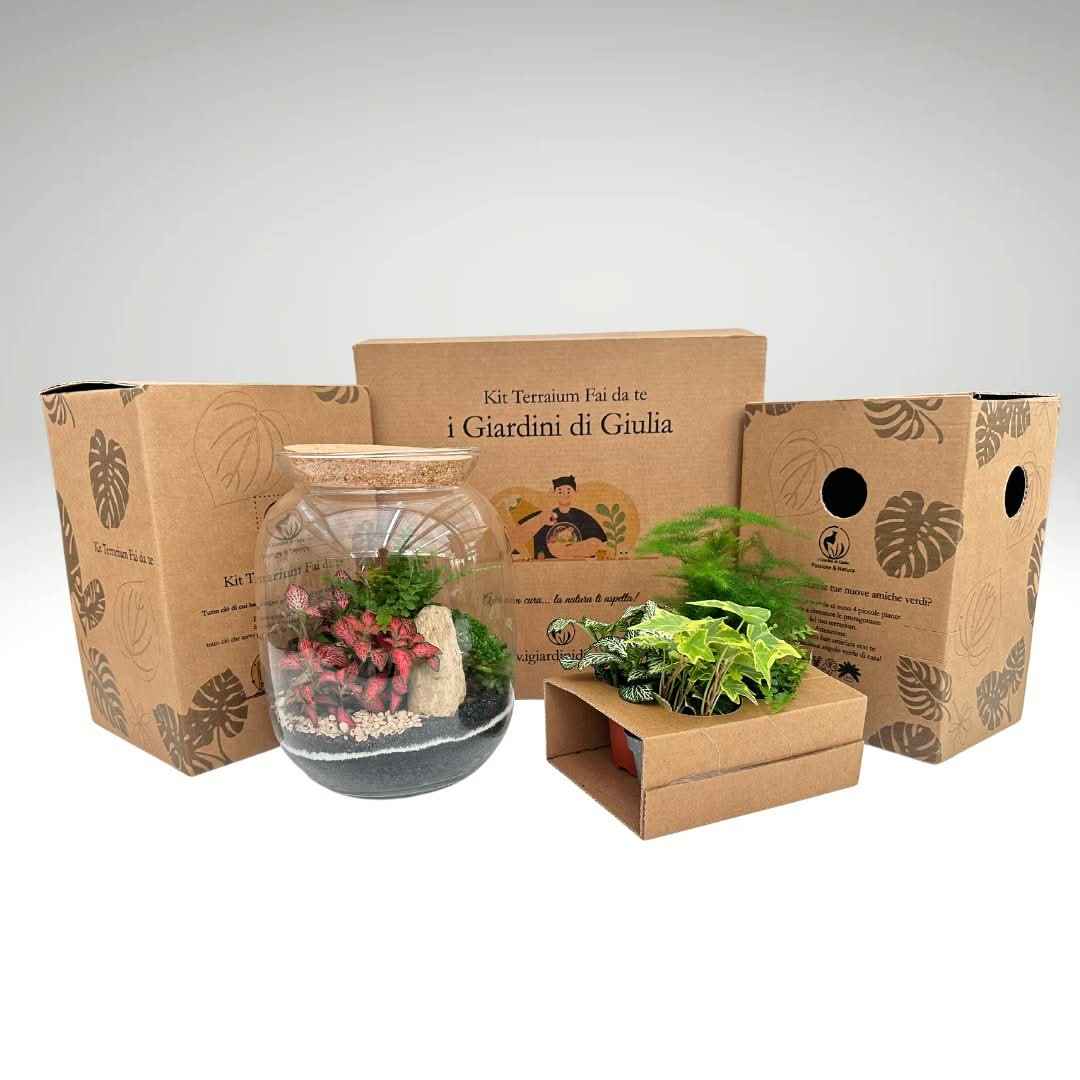 Kit Fai Da Te Terrarium Completo - Crea il Tuo Mini Giardino Elegante - Nootje store