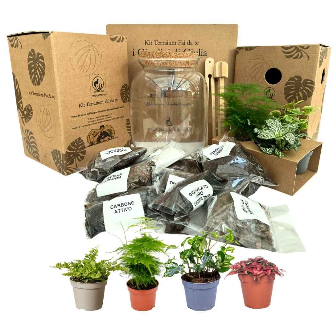 Kit Fai Da Te Terrarium Completo - Crea il Tuo Mini Giardino Elegante - Nootje store