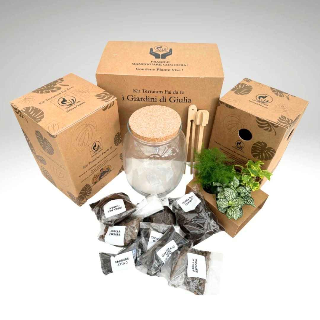 Kit Fai Da Te Terrarium Completo - Crea il Tuo Mini Giardino Elegante - Nootje store