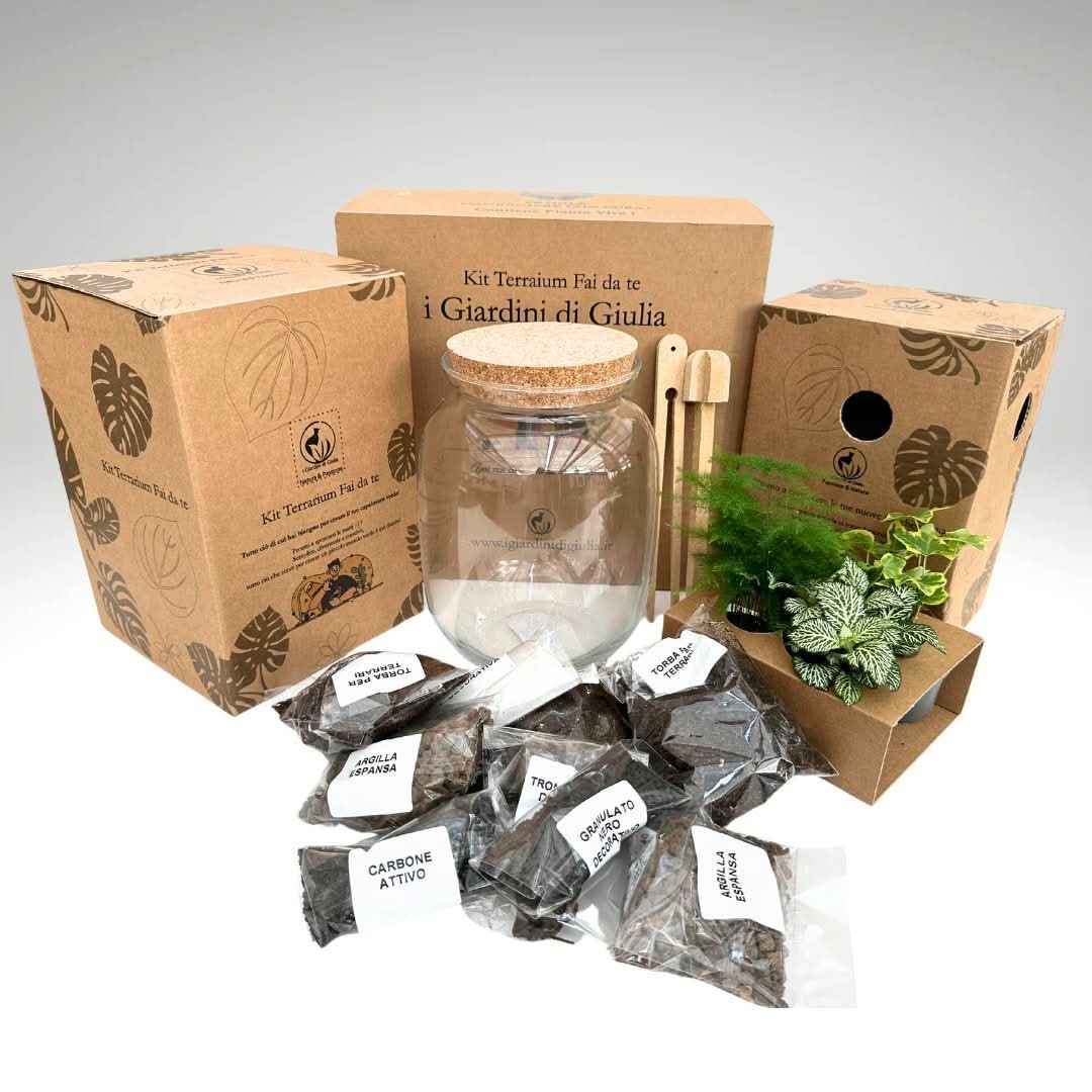 Kit Fai Da Te Terrarium Completo - Crea il Tuo Mini Giardino Elegante - Nootje store