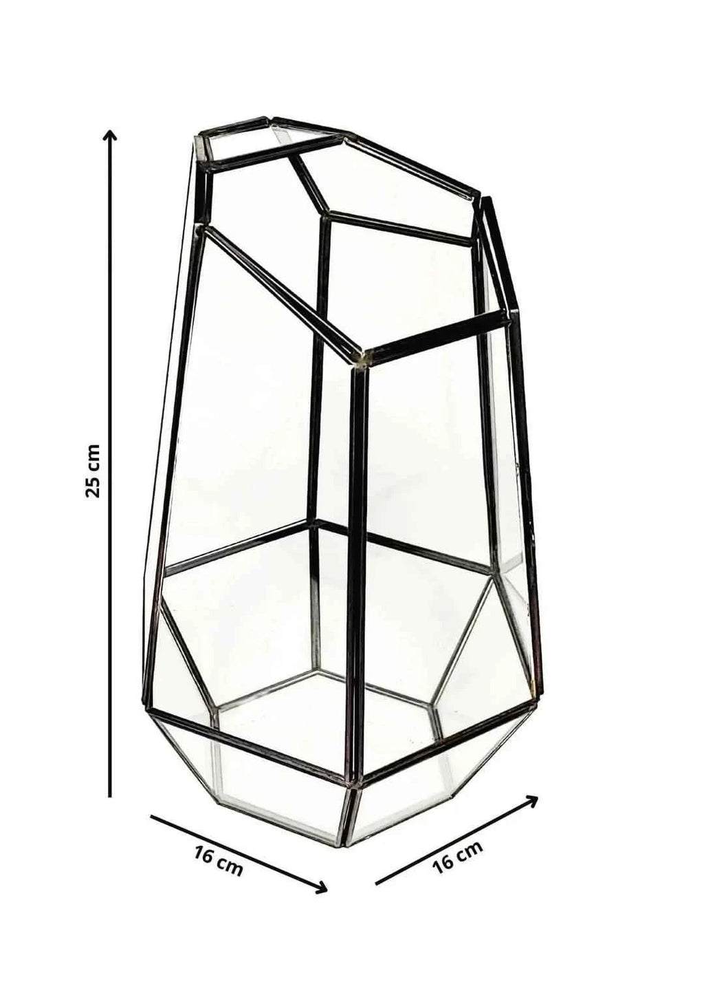 Kit Fai Da Te Terrarium Completo Geometrico  Florine