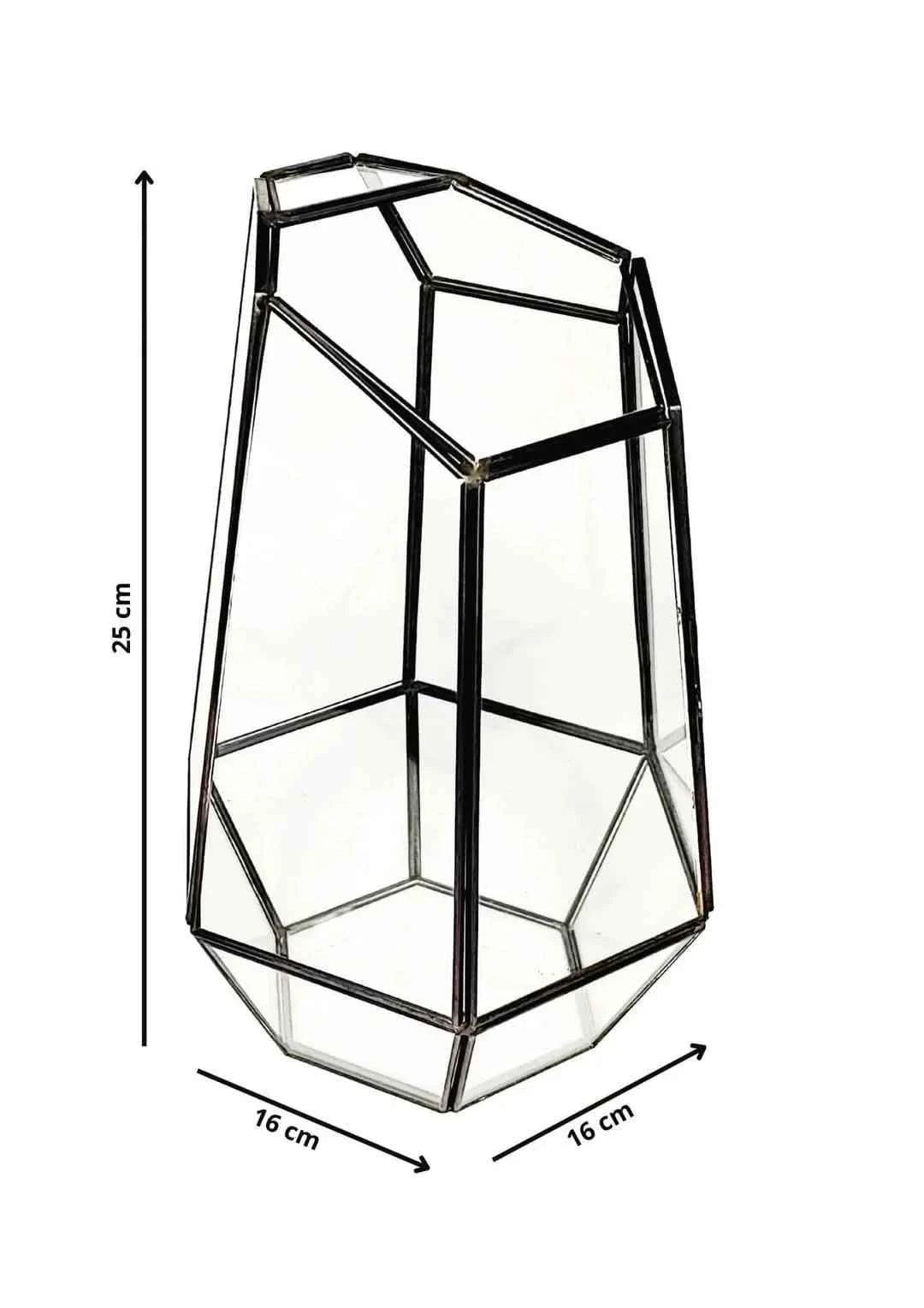 Kit Fai Da Te Terrarium Completo Geometrico  Florine
