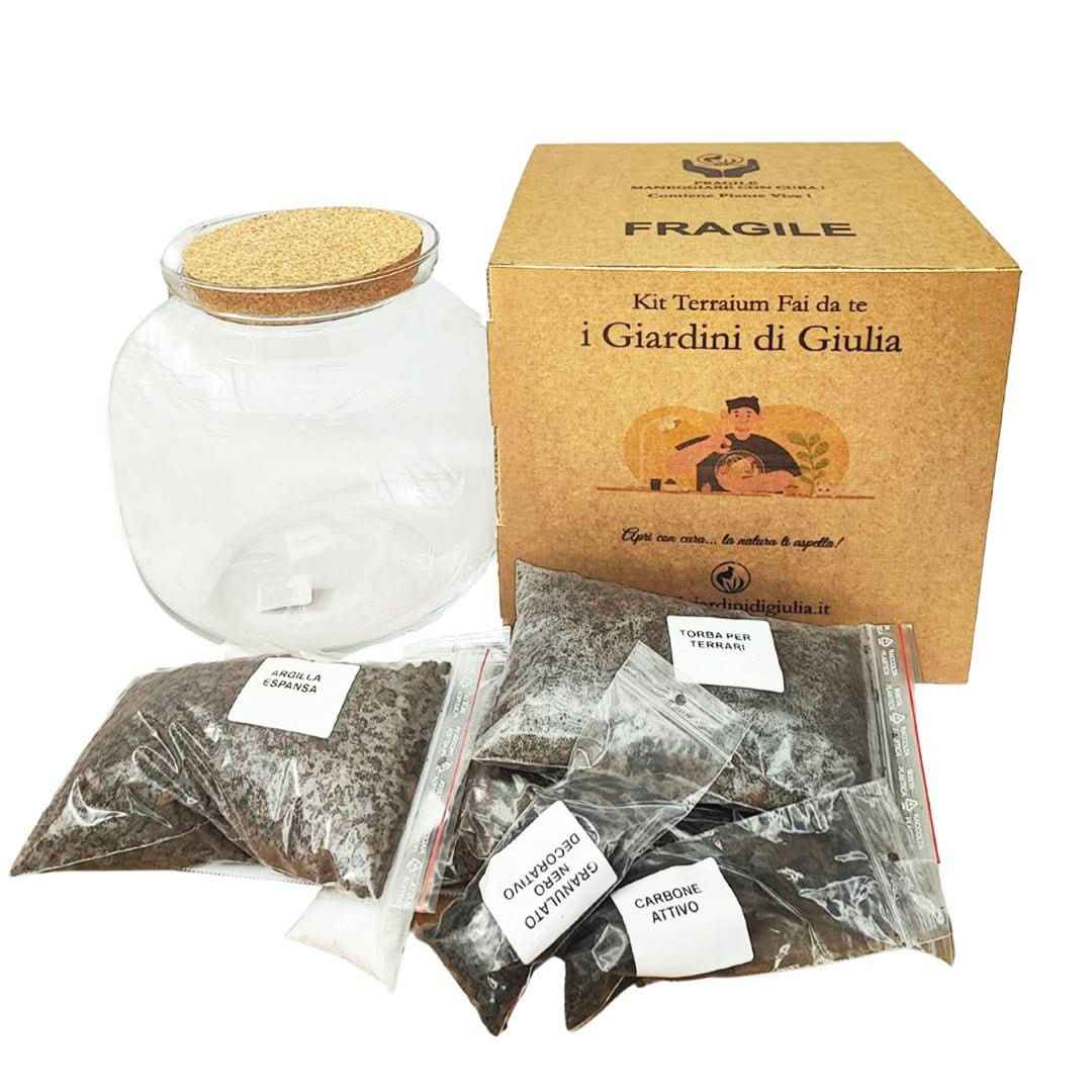 Kit terrarium 8FATE048 - Nootje store