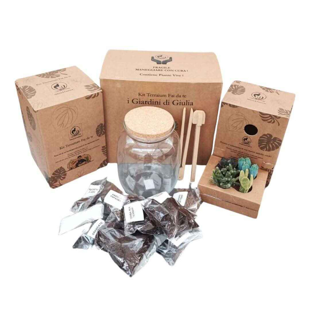 Kit terrarium fai da te con piante grasse completo