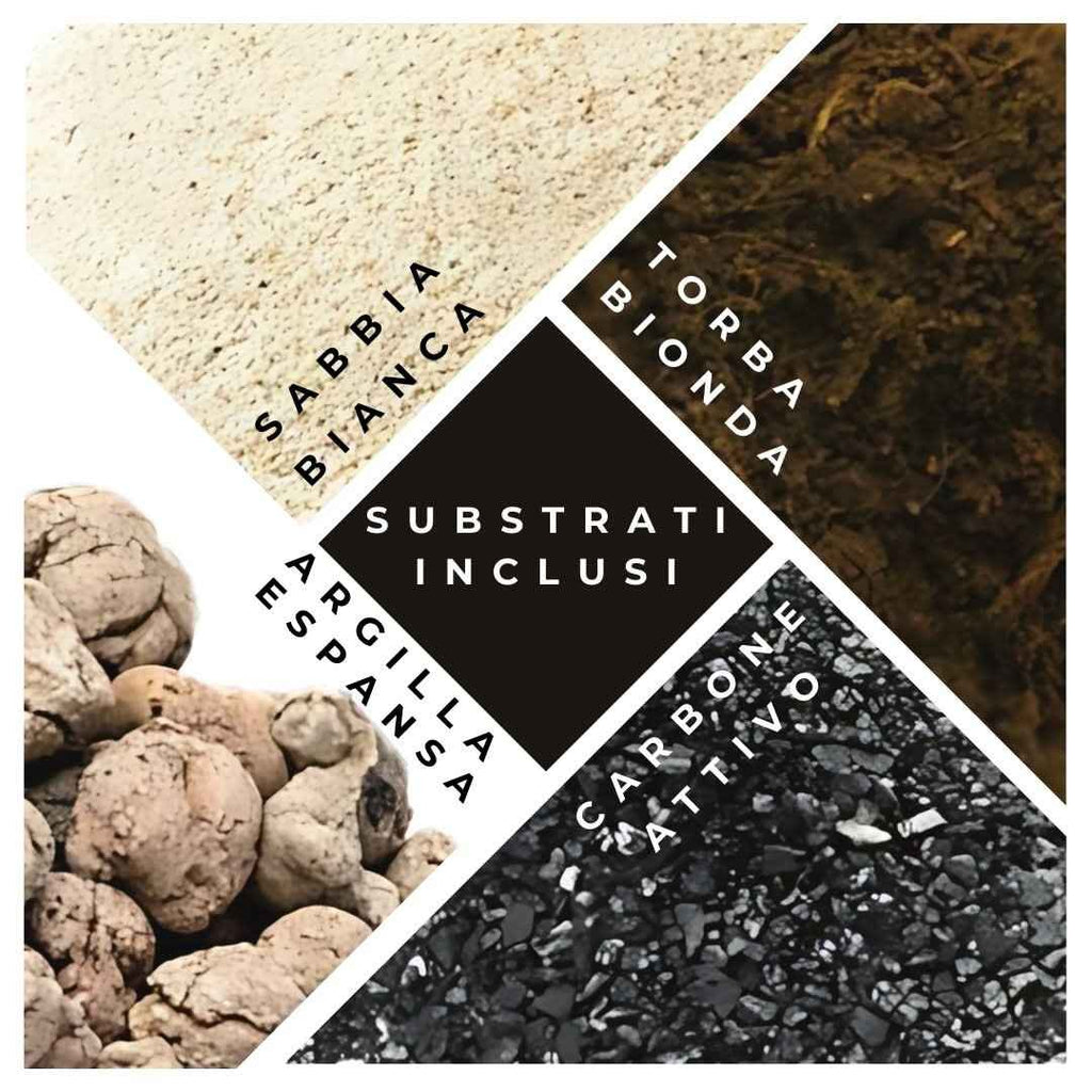 Kit Terrarium Fai Da Te Nadia | Crea il Tuo Giardino da Interno - Nootje store