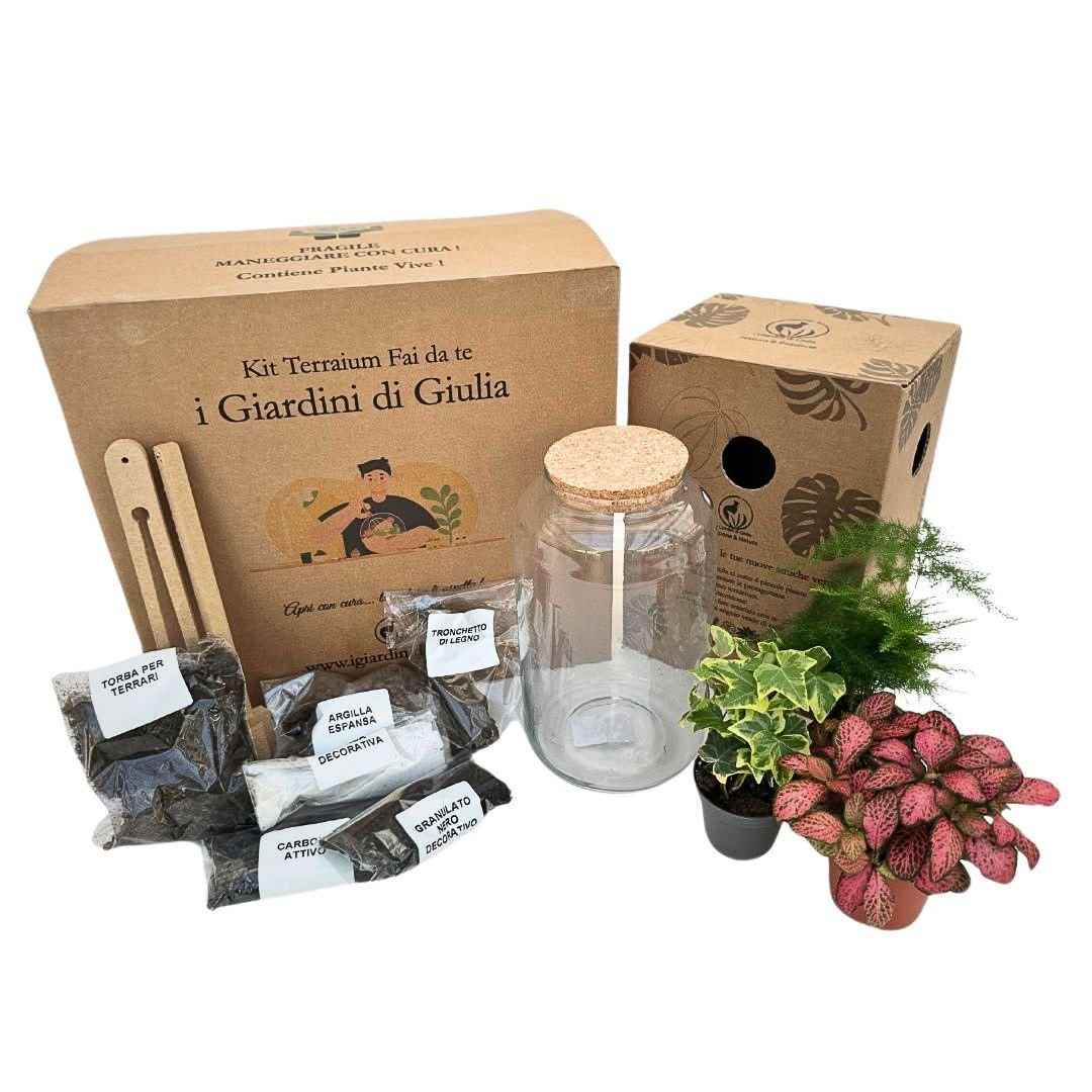 Kit Terrarium Fai Da Te Nadia | Crea il Tuo Giardino da Interno - Nootje store