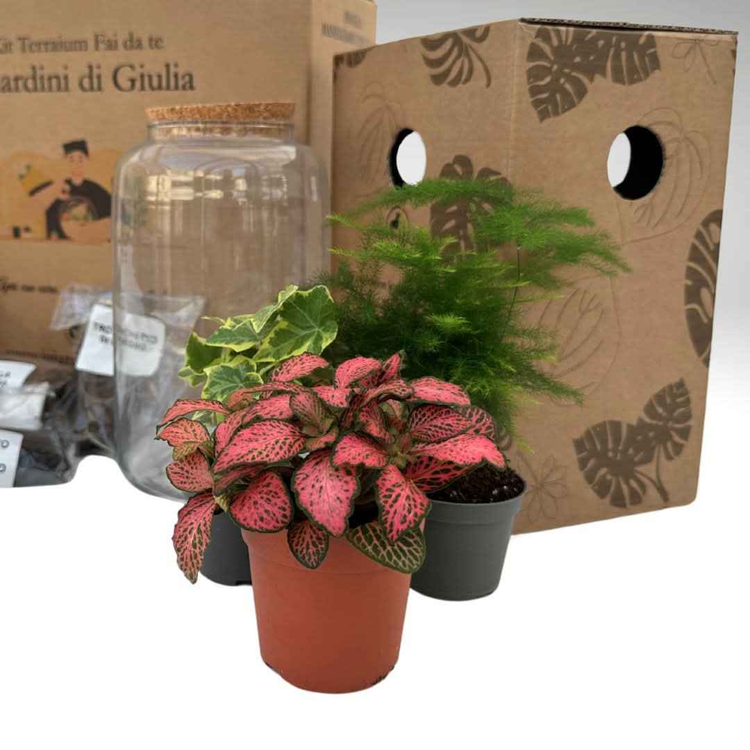 Kit Terrarium Fai Da Te Nadia | Crea il Tuo Giardino da Interno - Nootje store