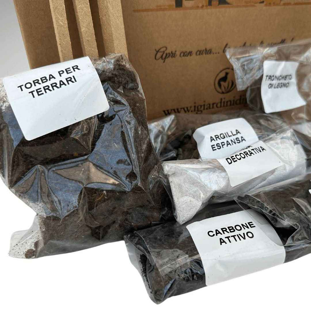 Kit Terrarium Geometrico Fai Da Te ADA | Crea il Tuo Giardino da Interno - Nootje store