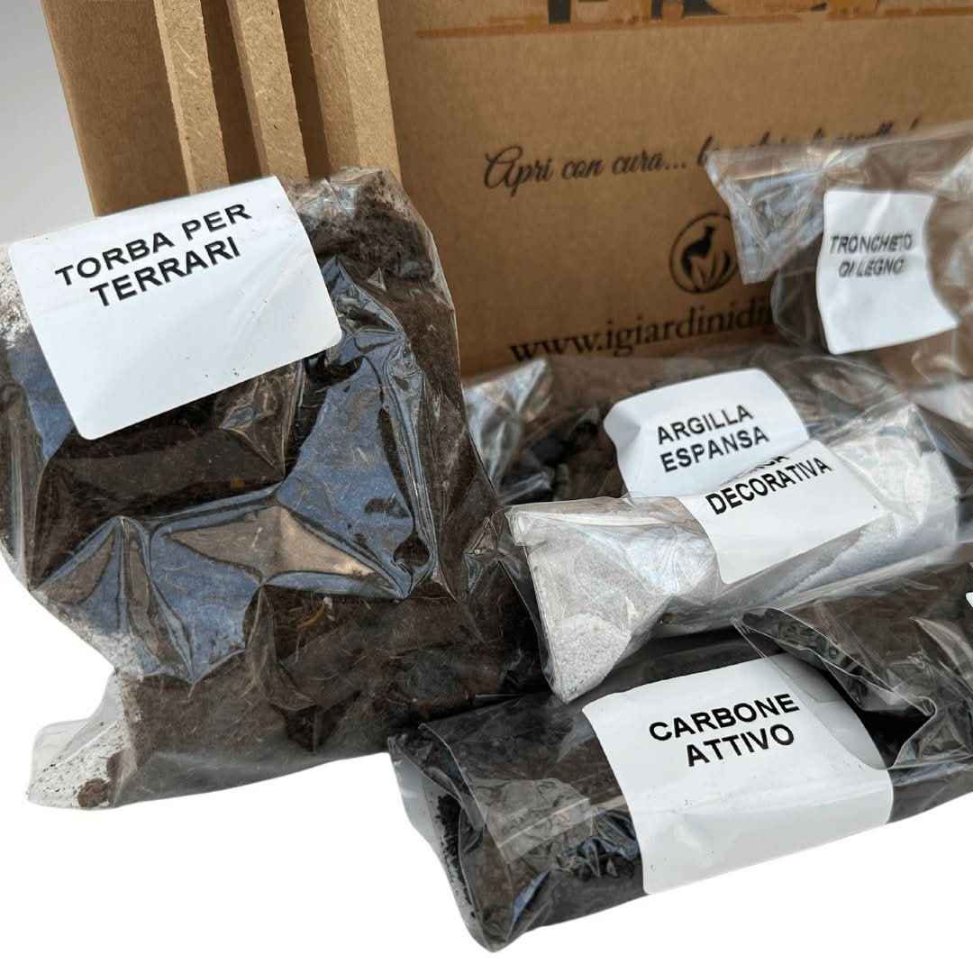 Kit Terrarium Geometrico Fai Da Te ADA | Crea il Tuo Giardino da Interno - Nootje store