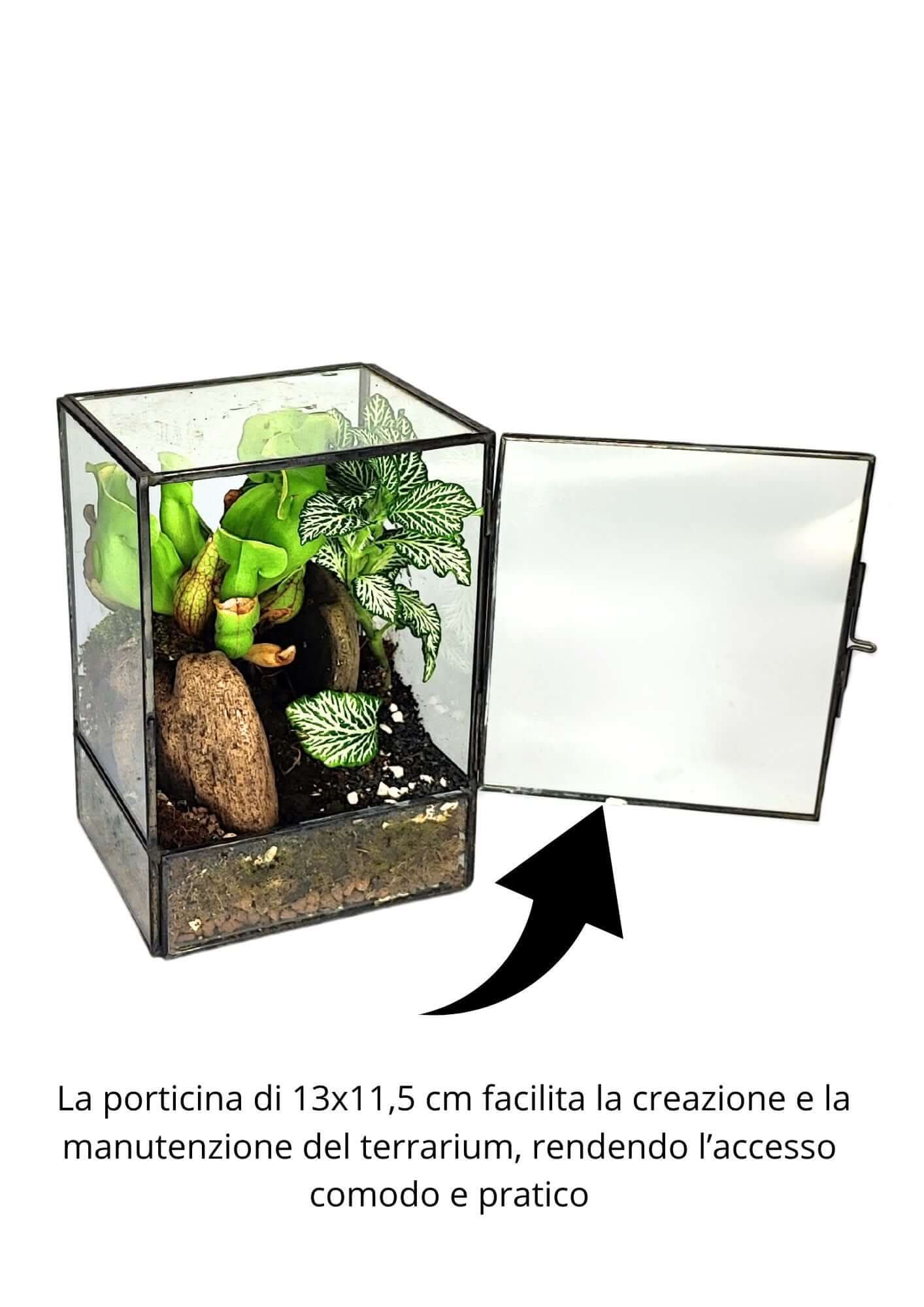 Kit Terrarium Geometrico Fai Da Te ADA | Crea il Tuo Giardino da Interno - Nootje store
