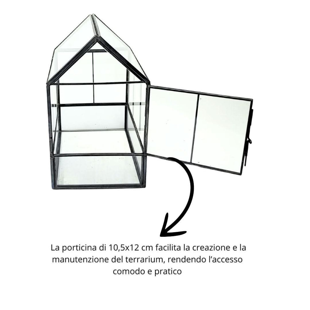 Kit Terrarium Geometrico Fai Da Te Beatrice Piante grasse - Nootje store