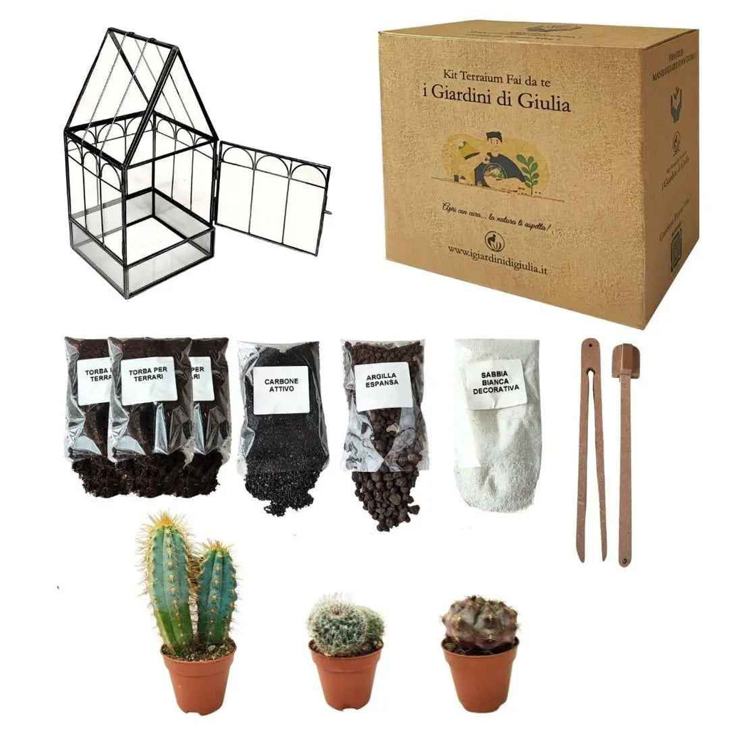 Kit Terrarium Geometrico Fai Da Te Giada Piante grasse - Nootje store