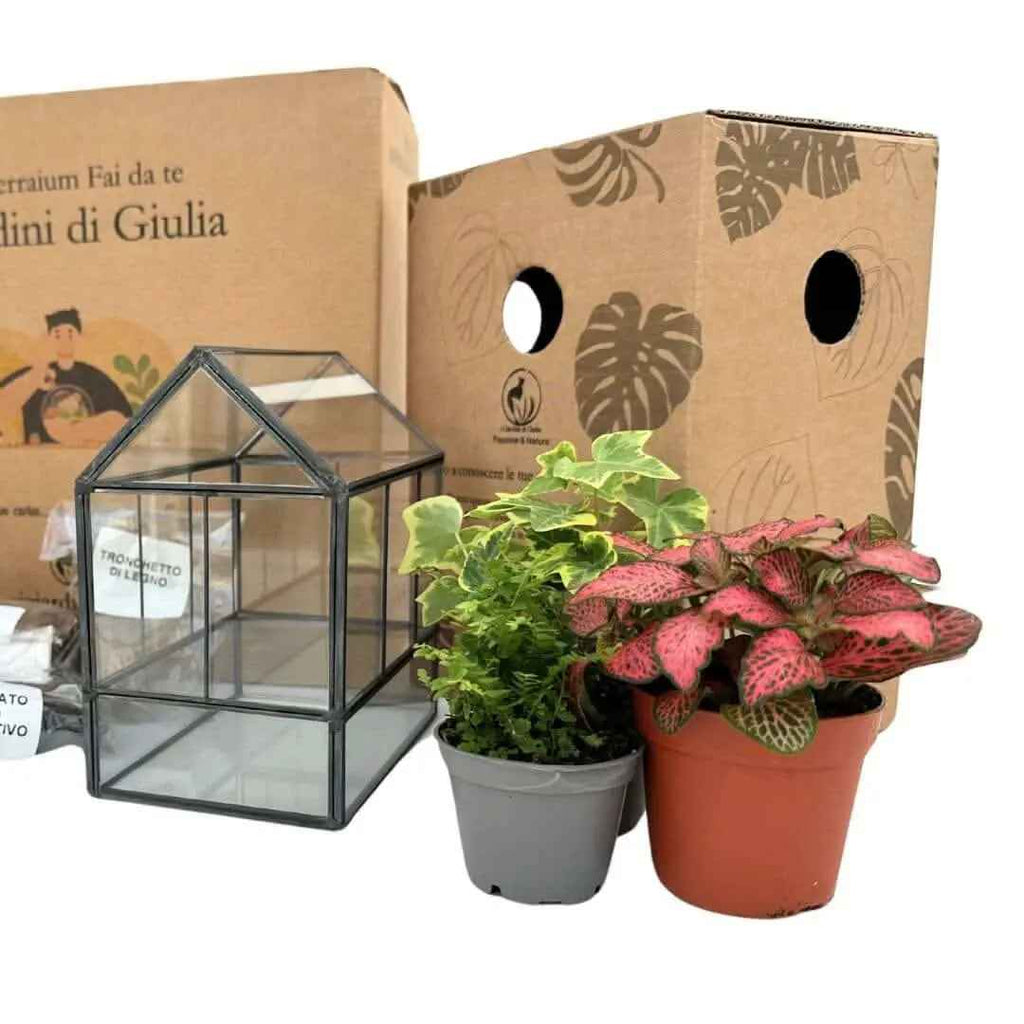 Kit Terrarium Geometrico Fai Da Te Monica | Crea il Tuo Giardino da Interno - Nootje store