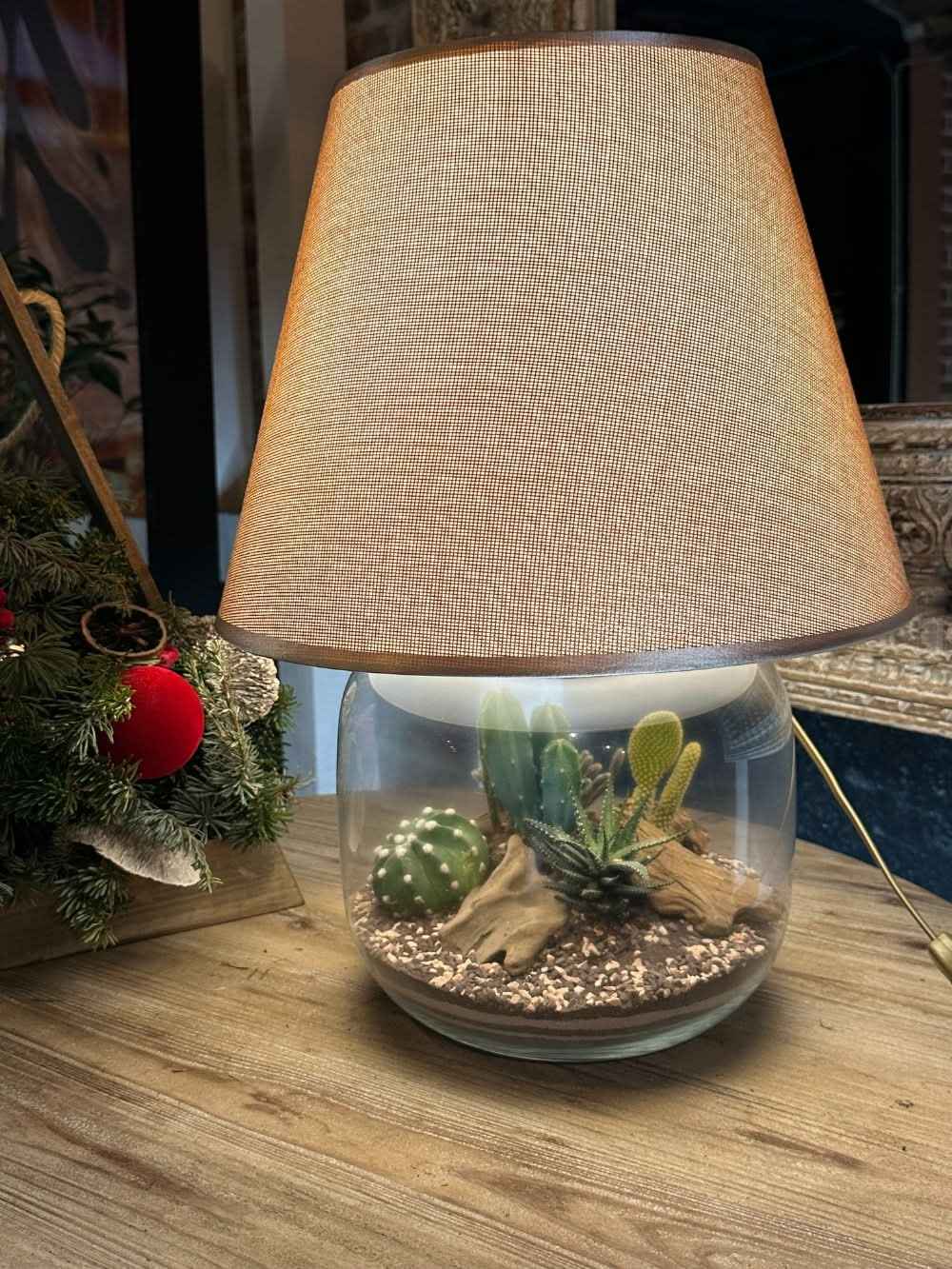 Kit Terrarium Lamparium Grande con piante grasse