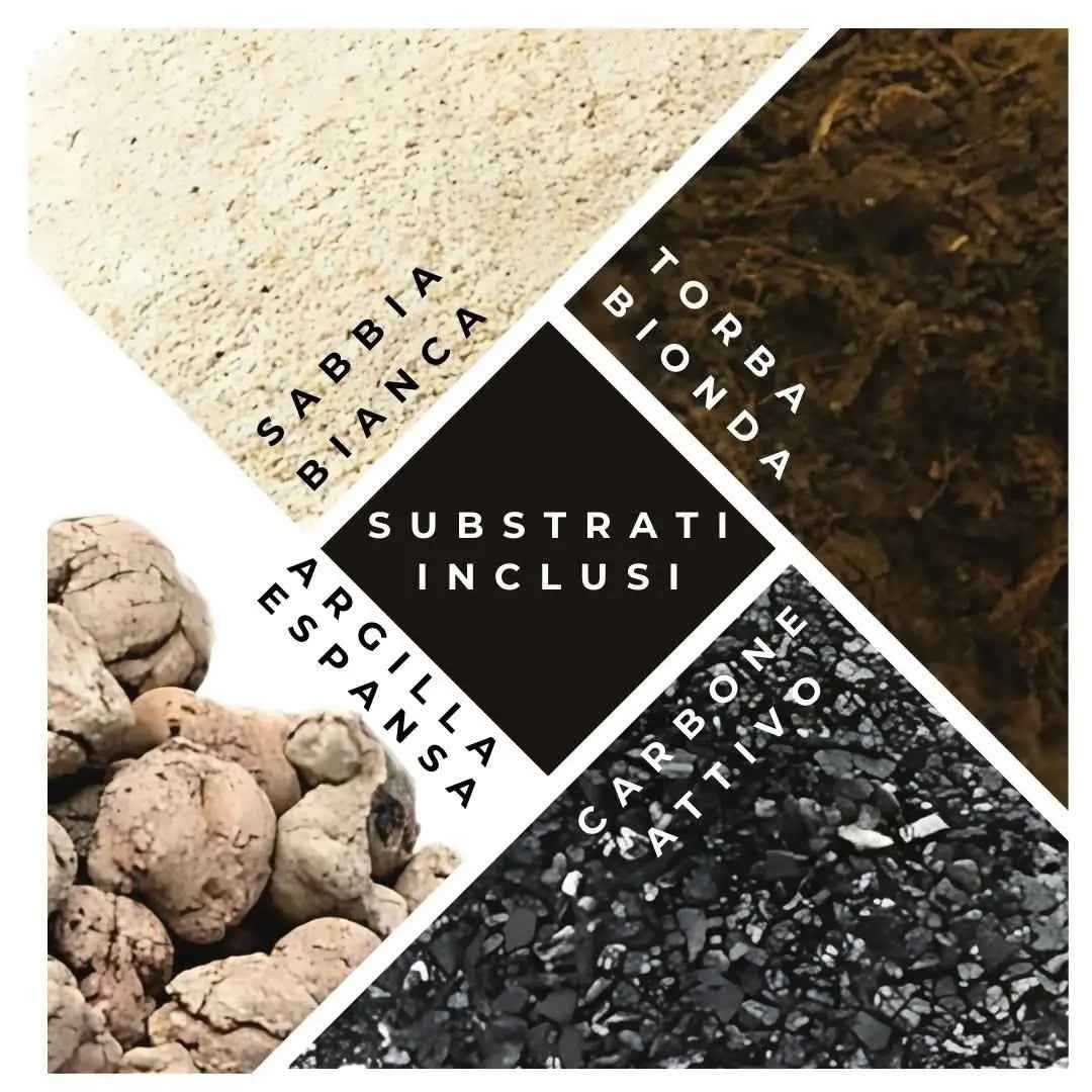 Kit Terrarium Lamparium Medio con piante grasse - Nootje store