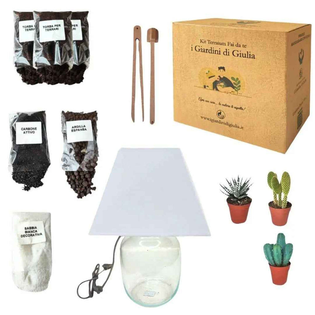 Kit Terrarium Lamparium Medio con piante grasse - Nootje store
