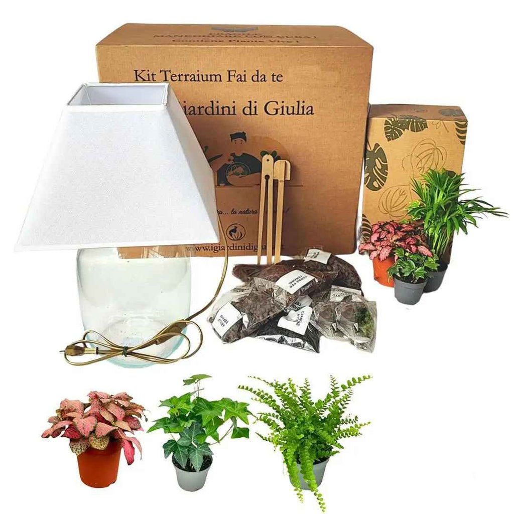 Kit Terrarium Lamparium Medio con piante verdi