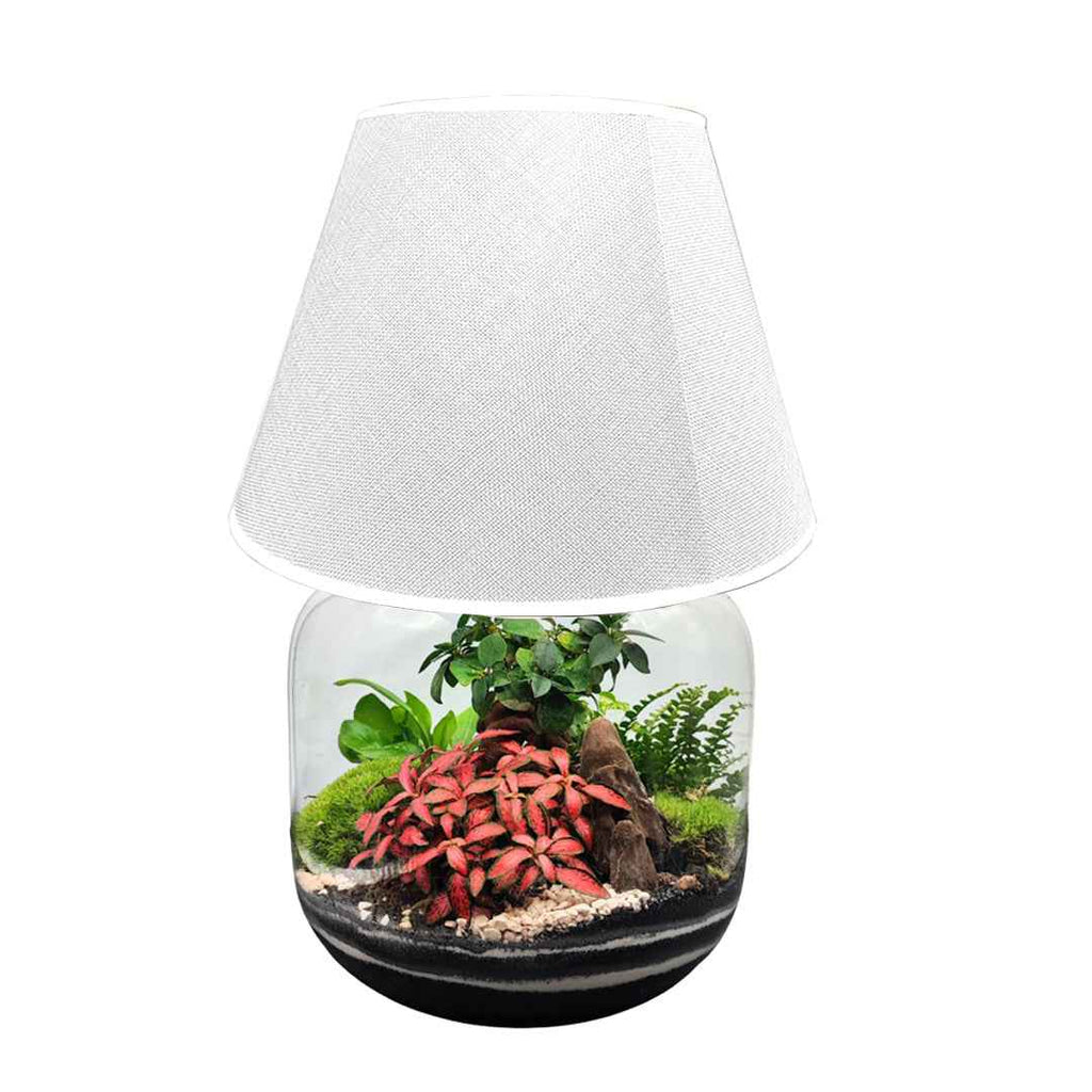 Terrarium Lamparium Martina - Nootje store