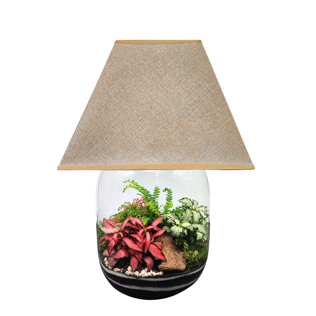 Terrarium Lamparium Oasi Lux elegant - Nootje store