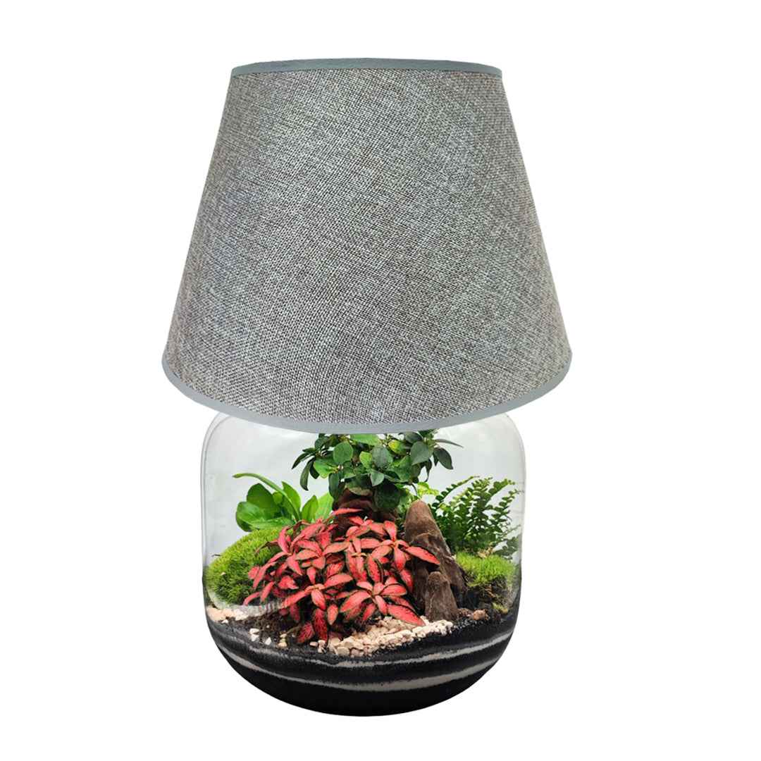 Terrarium Lamparium Martina - Nootje store