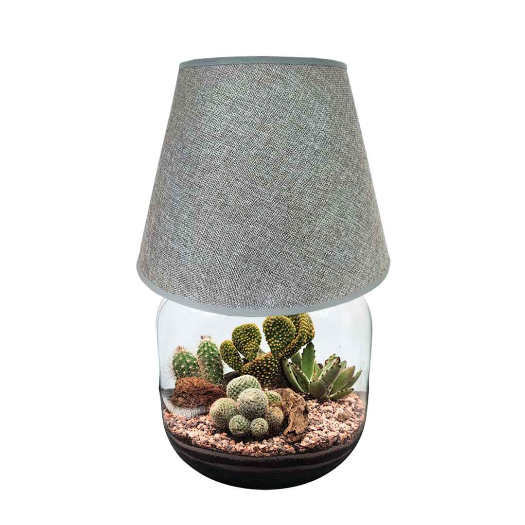 Terrarium Lamparium Martina Cactus