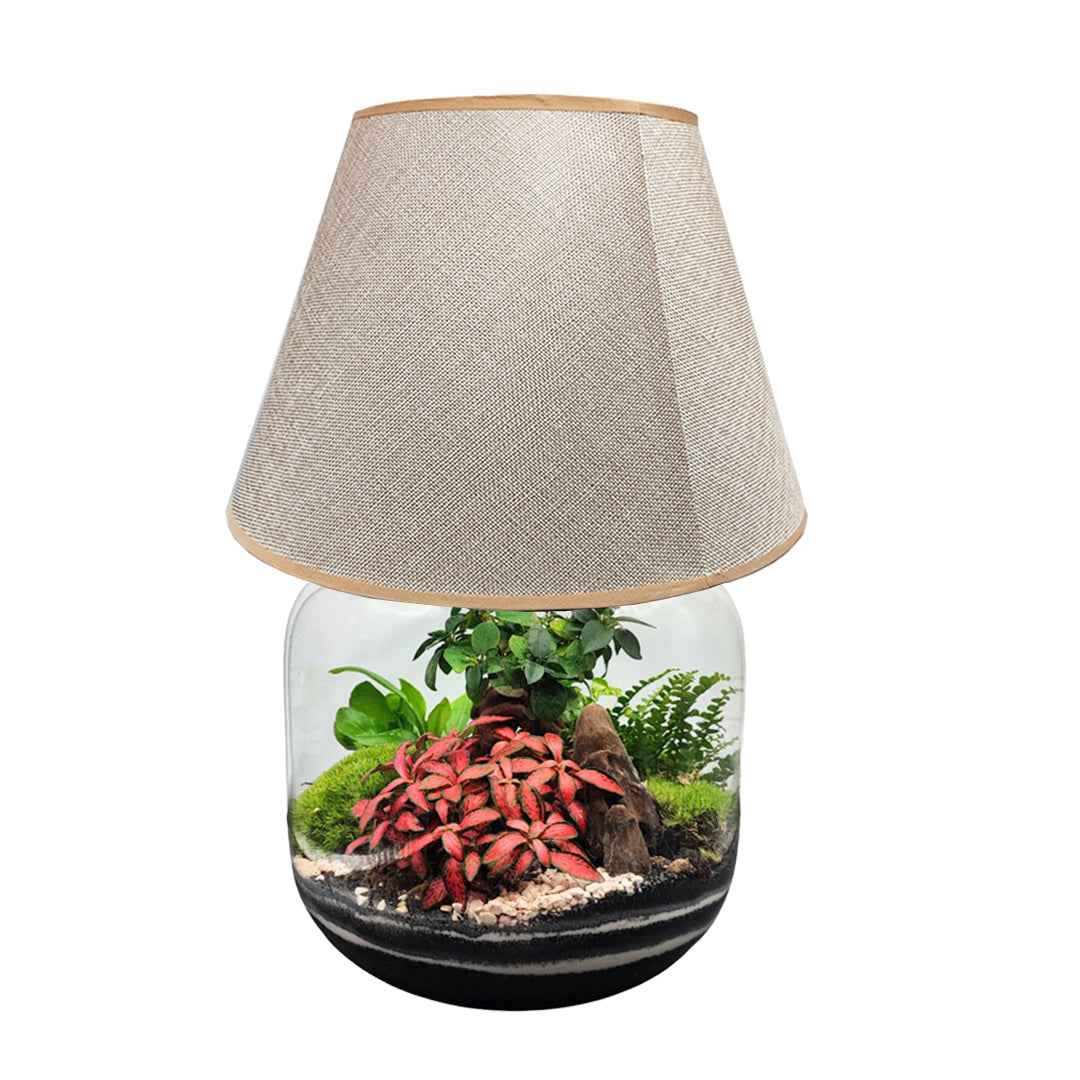 Terrarium Lamparium Martina - Nootje store
