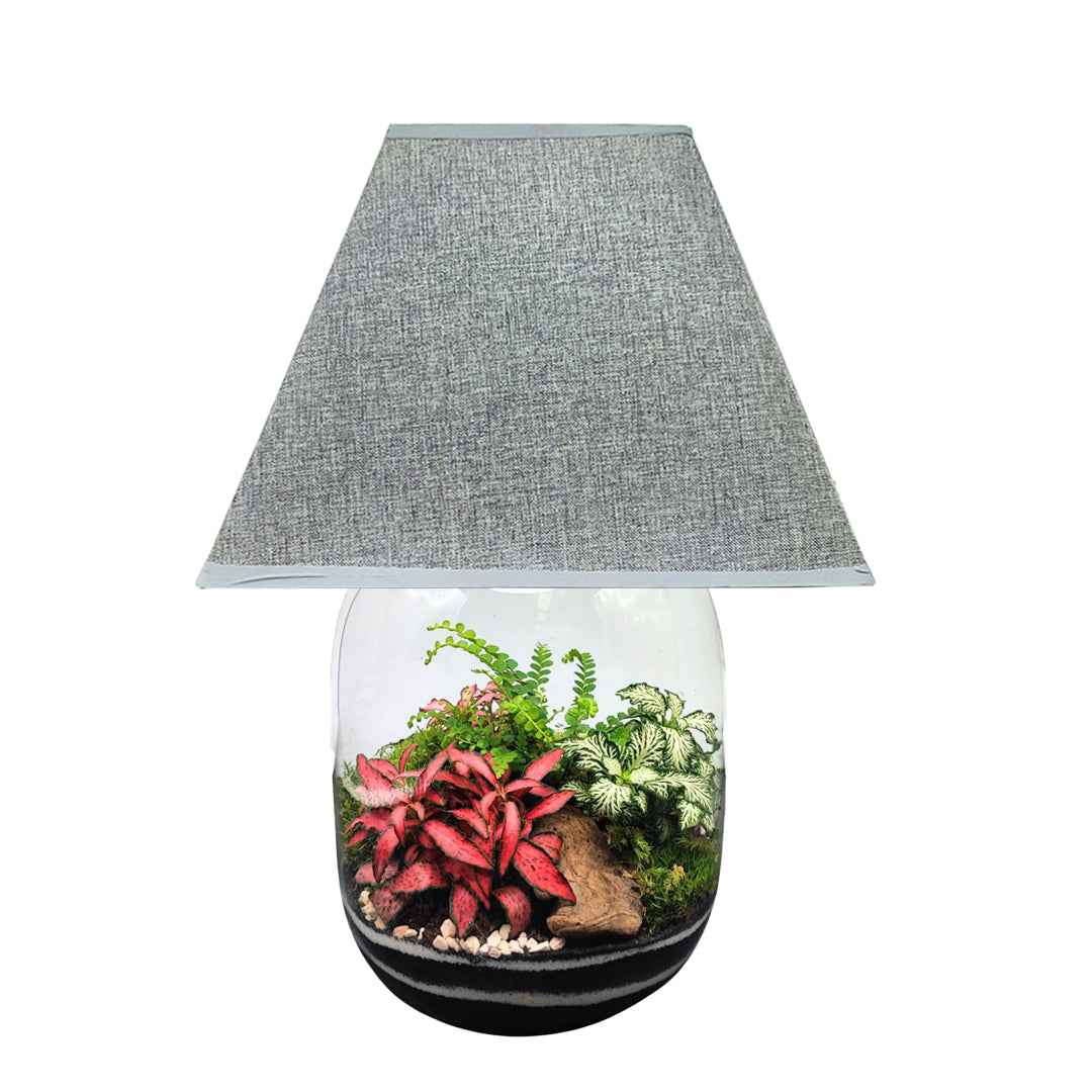 Terrarium Lamparium Oasi Lux elegant - Nootje store