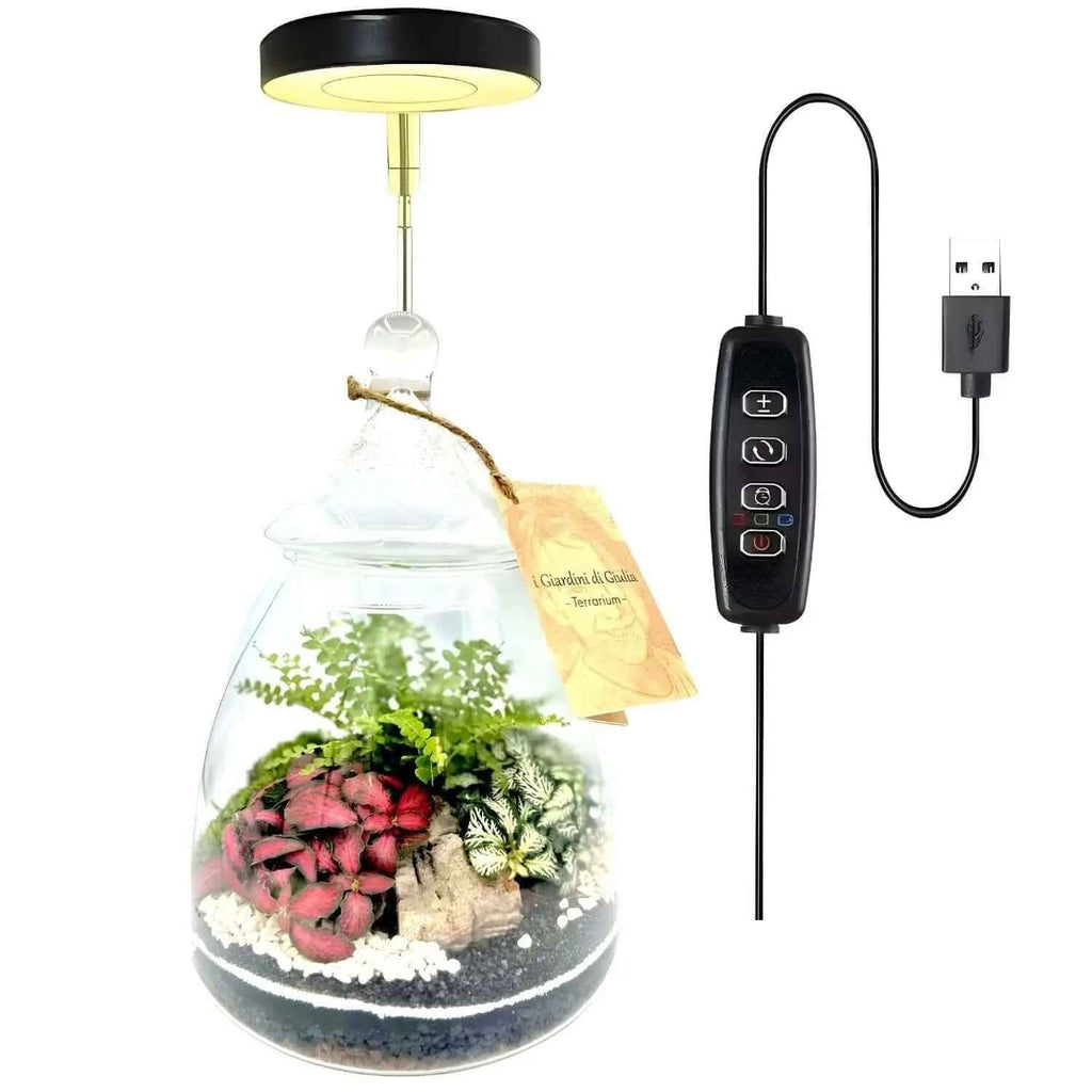 LumiFlora - Lampada LED Dimmerabile Telescopica per Terrarium, Bonsai, Piante Carnivore e da Scrivania - Nootje store