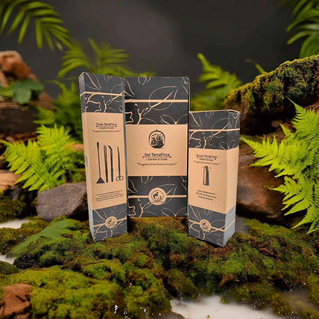 Set completo manutenzione e cura Terrarium TerraFlora Confezione regalo - Nootje store
