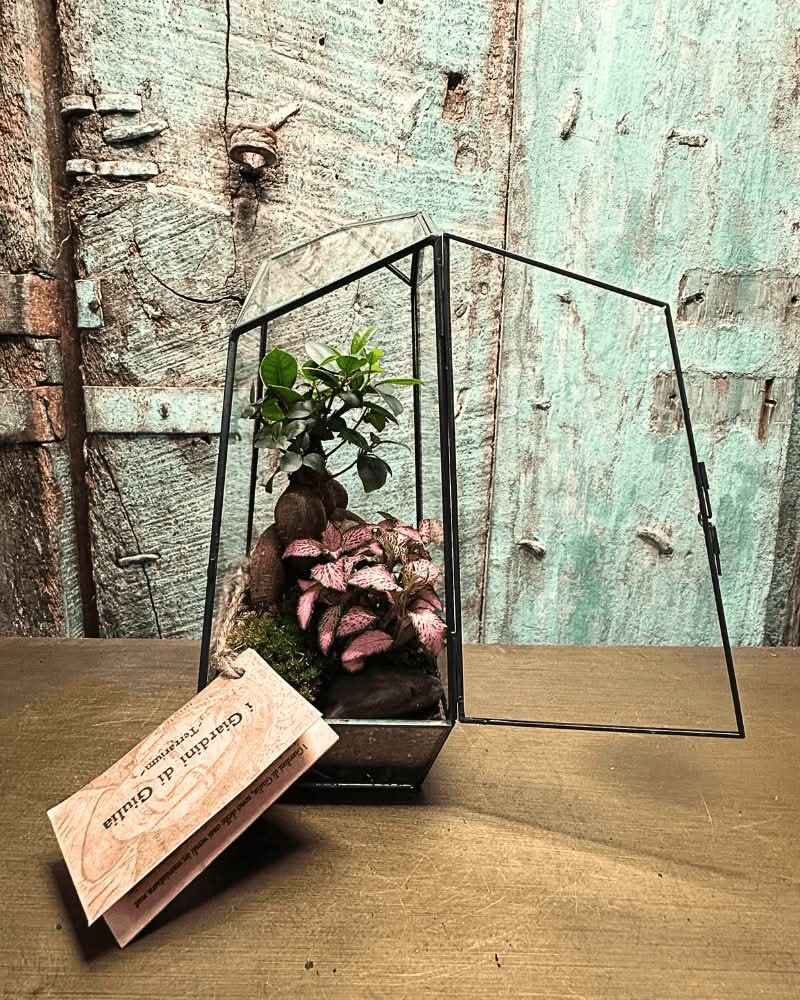 Terrarium Diamante 068V - Nootje store