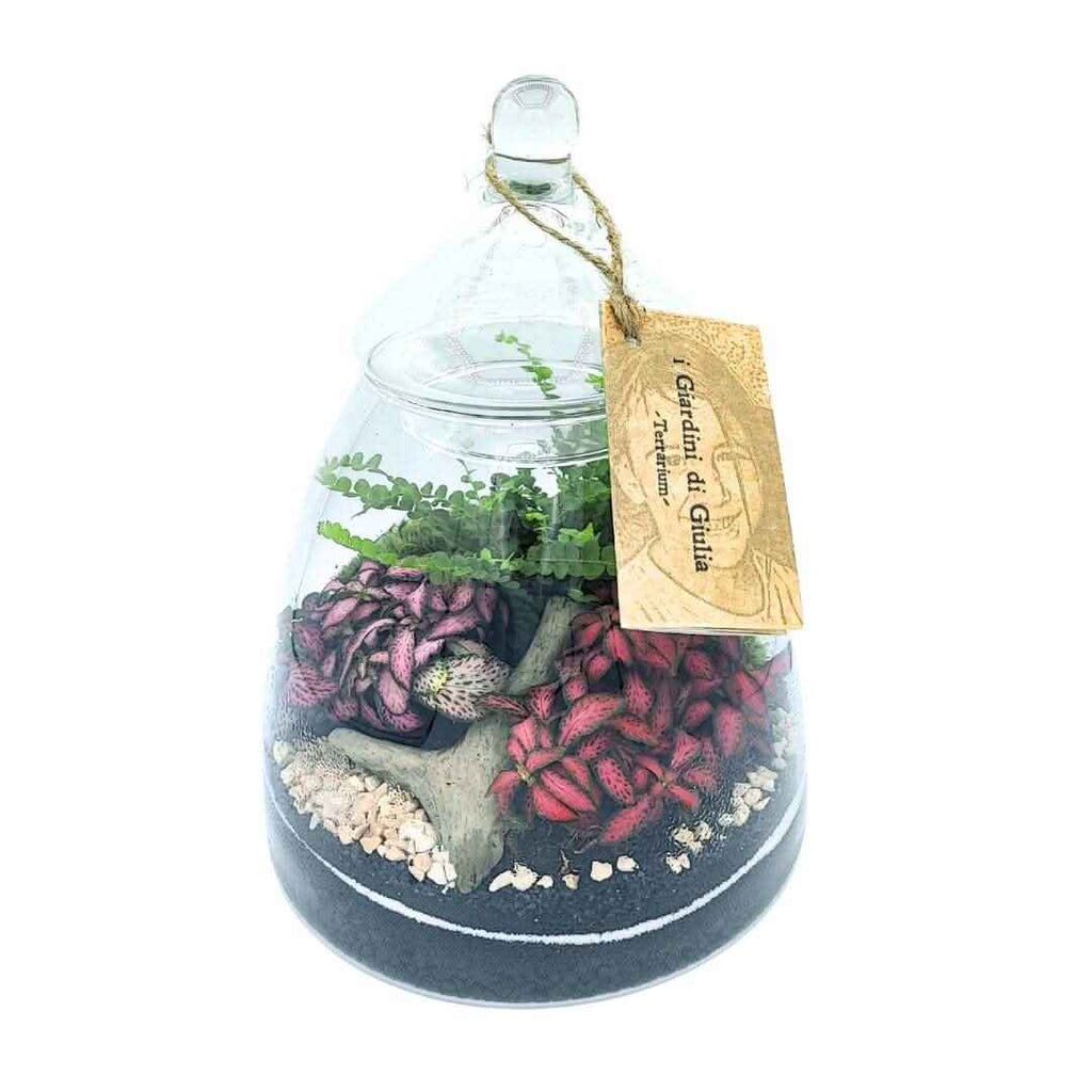 Terrarium Eternal Bloom 046 - Nootje store