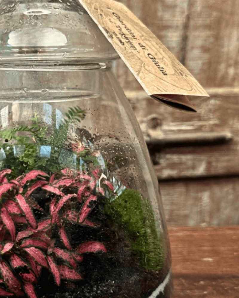 Terrarium Eternal Bloom 046 - Nootje store
