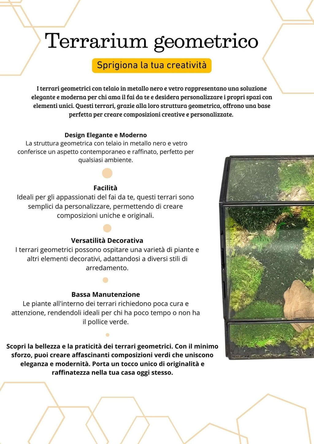 Terrarium geometrico Angolo di Vita 2TR074 - Nootje store