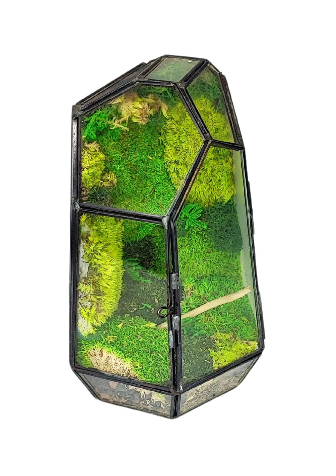 Terrarium geometrico Cristallo di Smeraldo 2TR072 - Nootje store