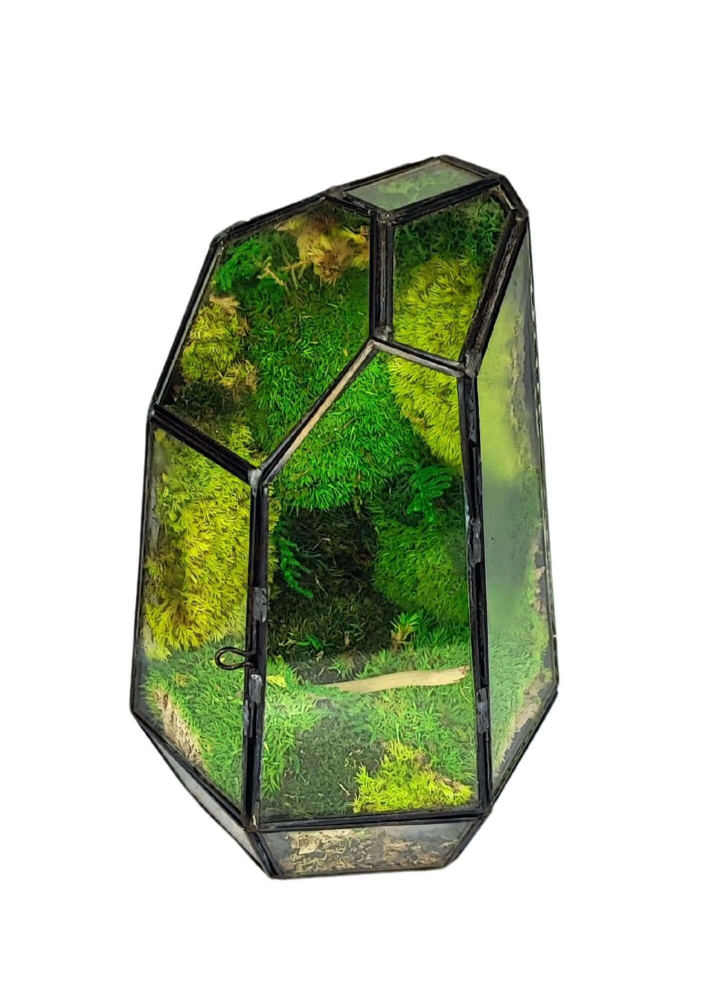 Terrarium geometrico Cristallo di Smeraldo 2TR072 - Nootje store