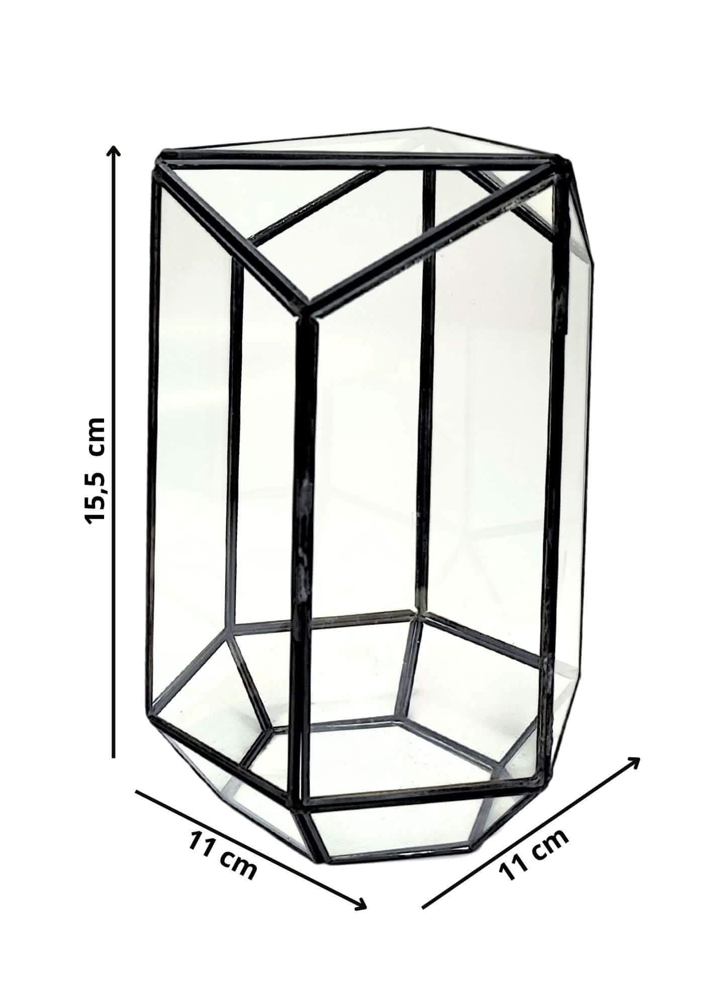 Terrarium geometrico Eden di Vetro 2TR064 - Nootje store