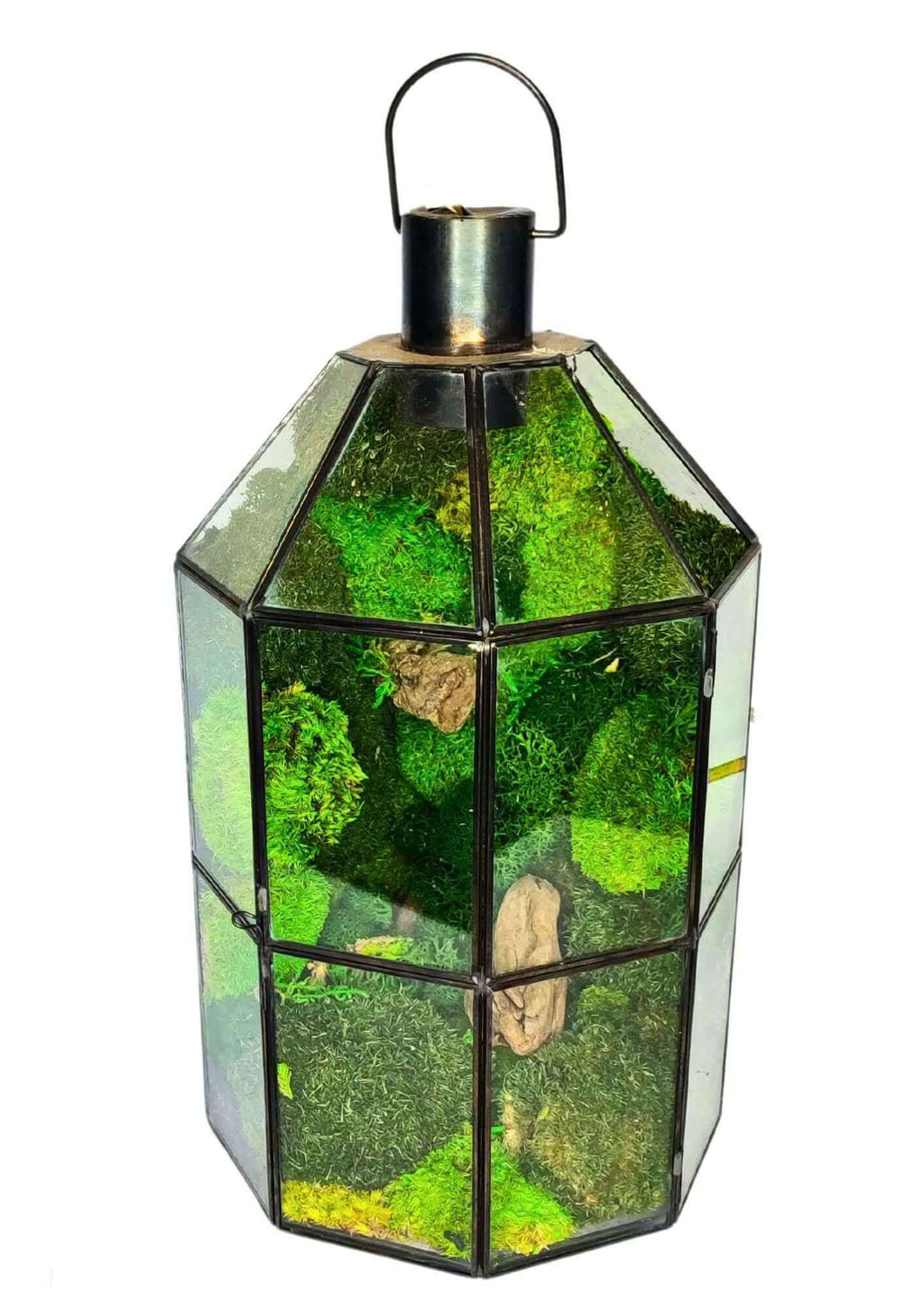 Terrarium geometrico Faro di Cristallo 2TR078 - Nootje store