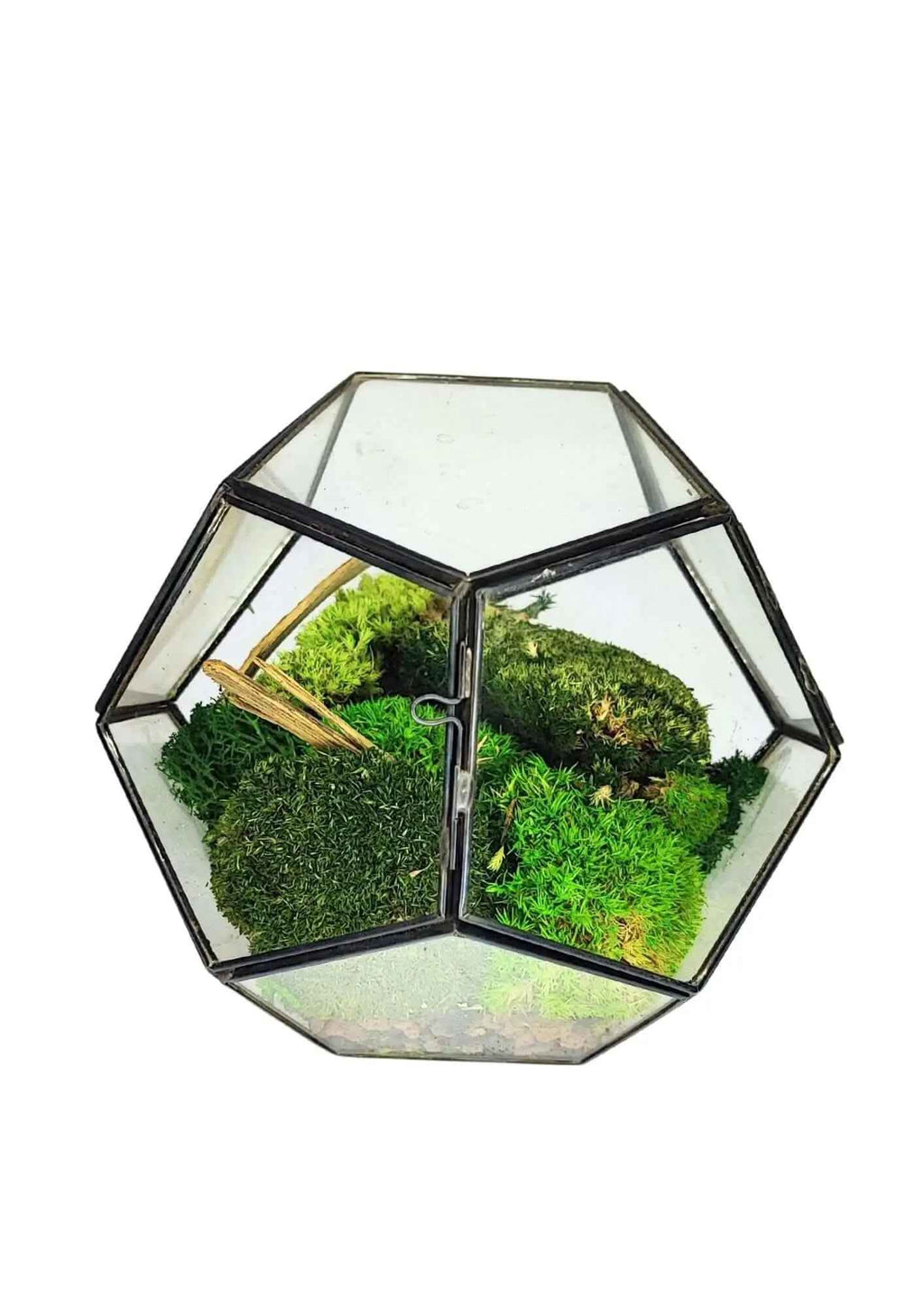Terrarium geometrico Giardino di Cristallo 2TR070 - Nootje store