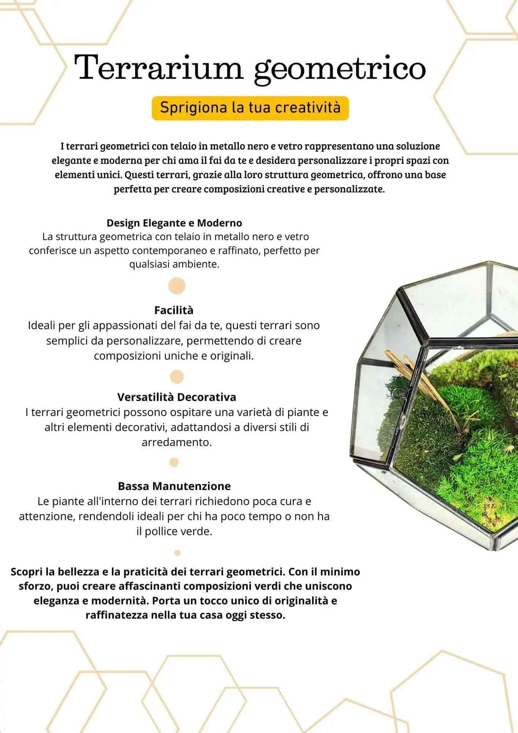 Terrarium geometrico Giardino di Cristallo 2TR070 - Nootje store