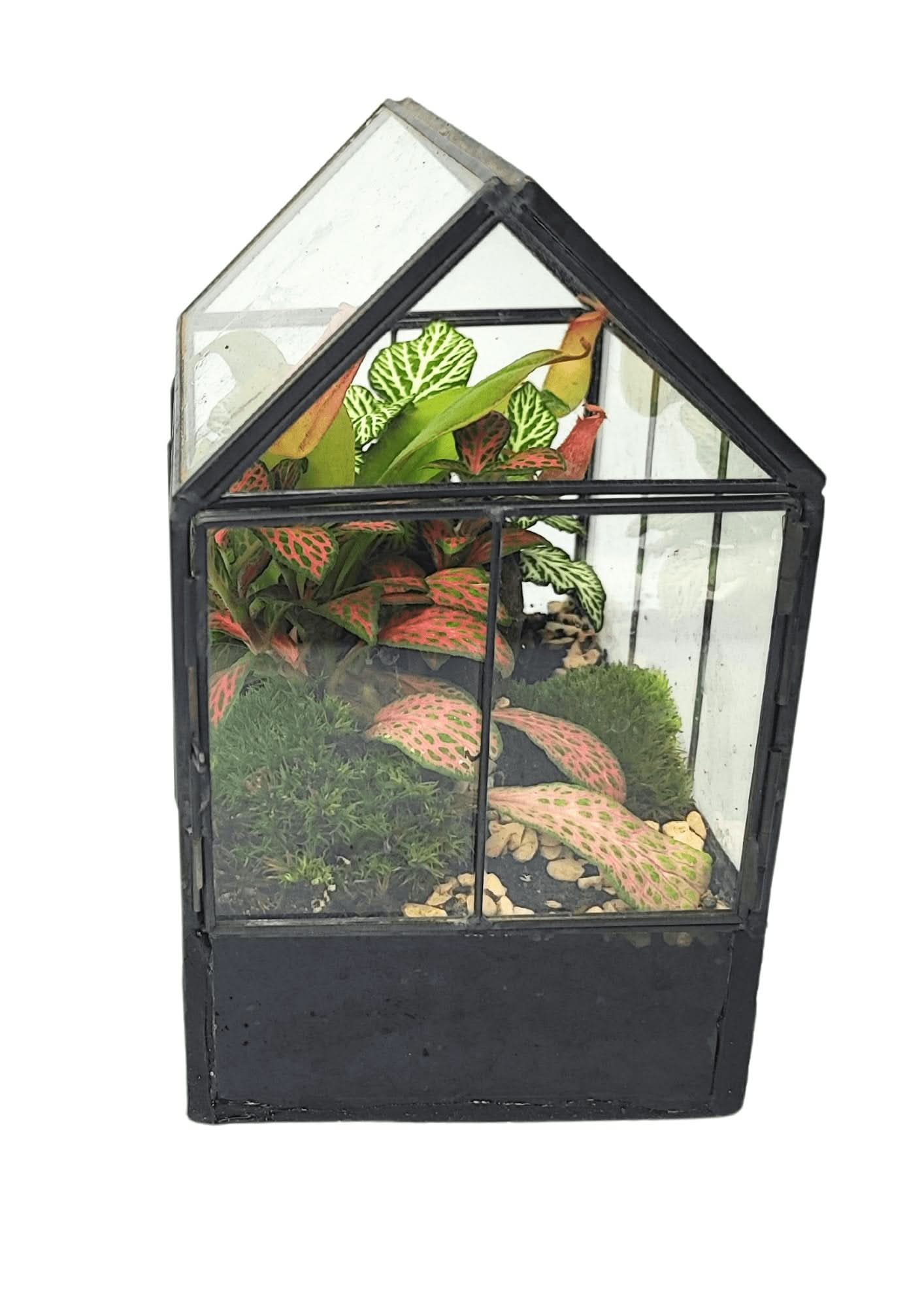 Terrarium geometrico Micro Oasi 2TR062 - Nootje store
